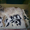 Продам щенков русского охотничьего спаниеля - Изображение #1, Объявление #115307