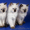 Куплю Невского маскарадного или сиамского маскародного котенка в Кемерово - Изображение #3, Объявление #138385