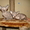 Продам котят канадских сфинксов - Изображение #6, Объявление #243322