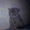 котята британские короткошерстные продам - Изображение #4, Объявление #317219