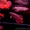  Идеальный аквариум Золотые красный arowana на продажу - Изображение #1, Объявление #495042