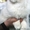 невские маскарадные котята редкого окраса - Изображение #3, Объявление #386144