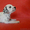 Продам щенков далматина - Изображение #5, Объявление #601040