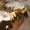 вязка с невским маскарадным котом-чемпион - Изображение #3, Объявление #52729