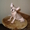 Самые красивые котята канадского сфинкса - Изображение #2, Объявление #768105