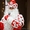 Заказ Деда Мороза на дом и в офис - Изображение #1, Объявление #777376