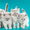 невские маскарадные котята от титулованных производителей  - Изображение #1, Объявление #51820