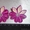 мастер класс Цветы Цунами Канзаши - Изображение #1, Объявление #1321634