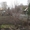 Садовый участок с домиком в СНТ "Черемушки" - Изображение #6, Объявление #1631328