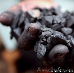 Уголь. Уголь. Уголь. - Изображение #1, Объявление #476959