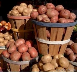 Продам овощи нового урожая 2011г. - Изображение #1, Объявление #535016