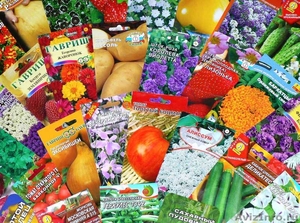 Магазин семян и садовых товаров - Изображение #1, Объявление #528762