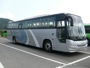 Продаём автобусы Дэу Daewoo  Хундай  Hyundai  Киа  Kia  в наличии Омске Кемерово - Изображение #1, Объявление #848521