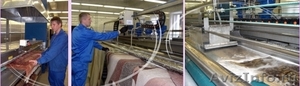 Стирка ковров на промышленной установке из Испании. Фабрика чистоты "Лавандерия" - Изображение #4, Объявление #1116109