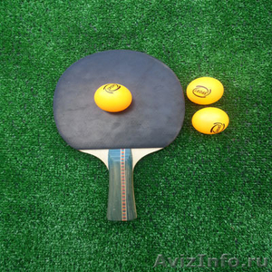 Аттракцион Топ-Спин тенис призовой малый - Изображение #3, Объявление #1182914
